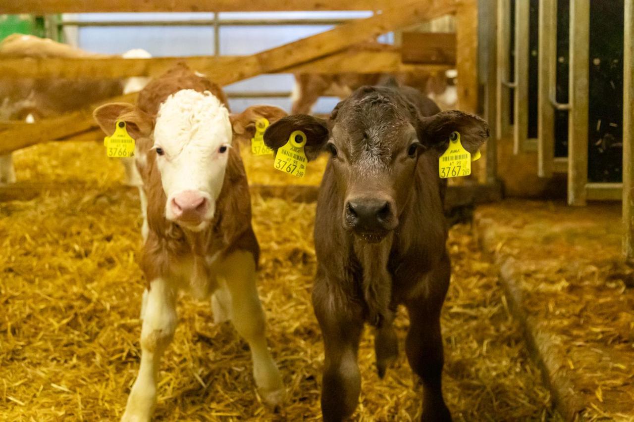 Hof Unterhuben Séjour à la ferme Fuegenberg